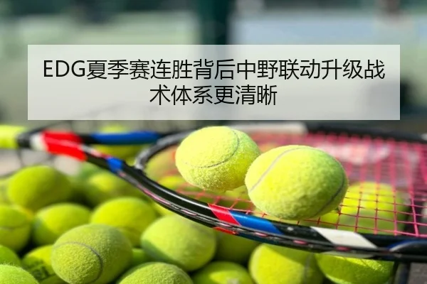 EDG夏季赛连胜背后中野联动升级战术体系更清晰